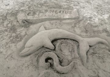 WhatsApp Image 2021 06 21 at 15.25.39